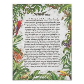 DESIDERATA Tropical Rain Forest Posters