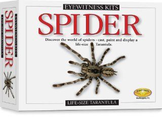 Skullduggery Eyewitness Kit Spider Casting Kit Toys & Games