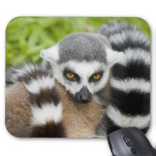 Mouse Mat   Cute Lemur Stripey Tail