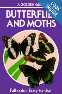 Butterflies and Moths A Guide to the More Common American Species (Golden Guides) Robert T. Mitchell, Herbert S. Zim, Andre Durenceau 9780307240521 Books