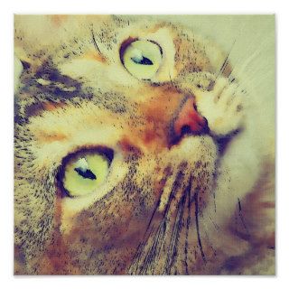 Soft Pastel Kitty Face Poster
