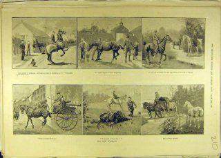 1889 Horse Purchase Carriage Knackers Squire Equine   Prints