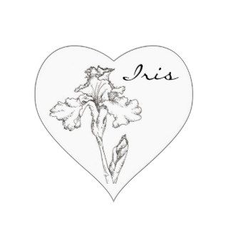Iris Spring Flower Pen and Ink Drawing Stickers
