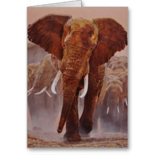 Guy Combes Wildlife Art Greeting Cards