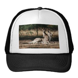 Mother Kangaroo and Joey Relaxing Hat