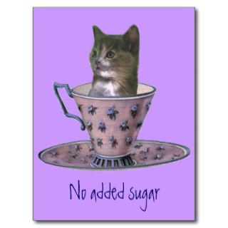 No Added Sugar kitten postcard