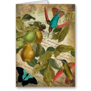 Vintage Birds Cards