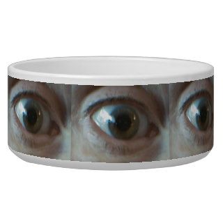 Here's Looking at you Kid, Dog Bowl