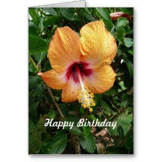 Orange Hibiscus Tropical Flower Birthday Template Greeting Card