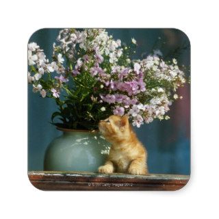 Cat sitting besides flower vase on window sill square stickers