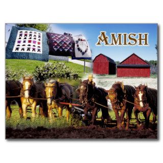 Amish Life in Lancaster, Pennsylvania Post Card