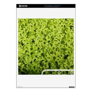 Golden Trailing Clubmoss Sony PlayStation 3 Skin Skins For PS3 Slim