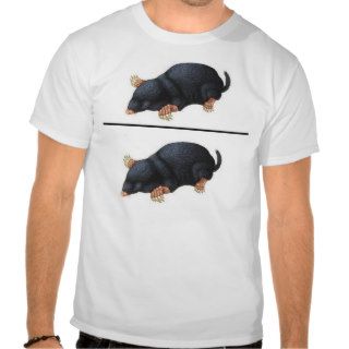 Dom'e Mole Ratio Shirt