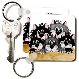 TNMGraphics Animals   Box of Cats   Key Chains   set of 2 Key Chains Clothing