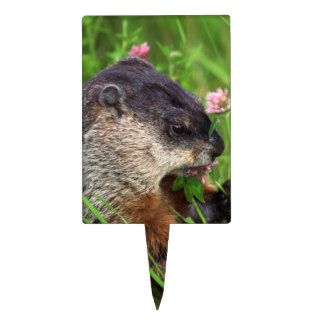 Clover eating Groundhog Cake Toppers