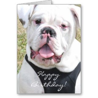 Happy Birthday White Bulldog greeting card