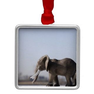 Elephant Family background blue sky Christmas Ornament