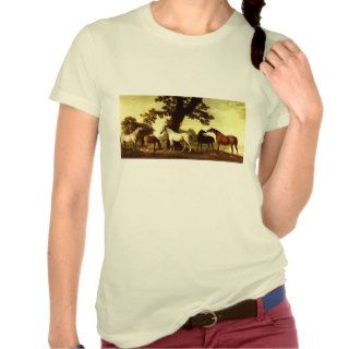 Five Brood Mares  by George Stubbs Shirts