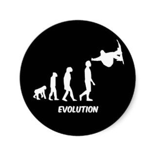 evolution skateboarding stickers