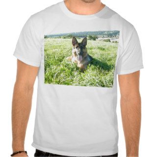 Handsome German Shepherd Dog Tee Shirts