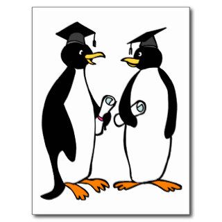 Penguins Graduation Cartoon Post Cards