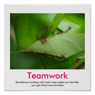 TEAMWORK demotivational poster