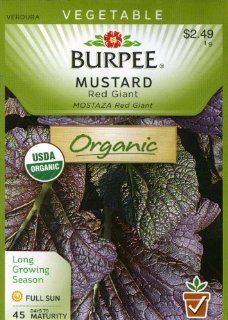 Burpee 68446 Organic Mustard Giant Red Seed Packet  Vegetable Plants  Patio, Lawn & Garden