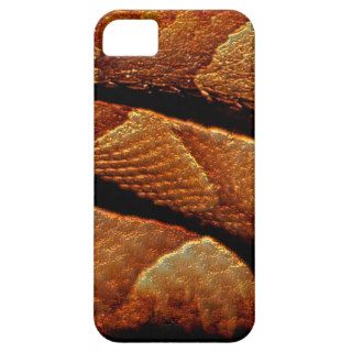 Snake Scale Serpent Scale Art Device Case iPhone 5 Case