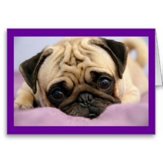 Pug Puppy Dog Blank Note Card