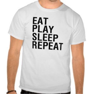 Eat Play Sleep Repeat FUNNY Humor tee shirt