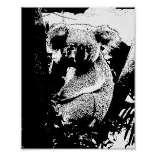 Koala in Black and White Posters