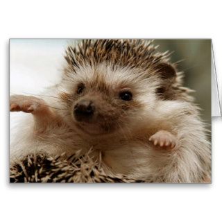 Little Hedgehog Card