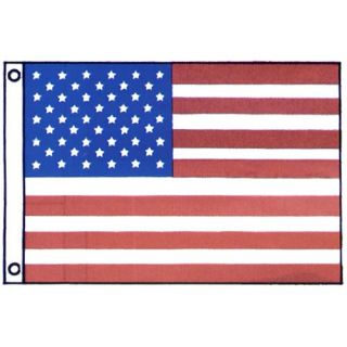 Taylor Made 12 in x 18 in American Flag (3102418)