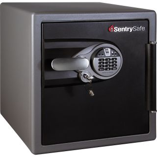 Sentry Safe DSW3930 Biometric Fire Safe (DSW3930)