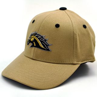 Top of the World Western Michigan Broncos Rookie Youth One Fit Hat