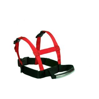 Lucky Bums Grip N Guide Kids Ski Training Harness (1013RD)