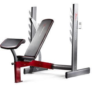 FreeMotion 220 BE Olympic Width Bench (FMBE2912)