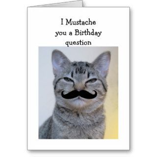 Fun Mustache Question Birthday Cat Card