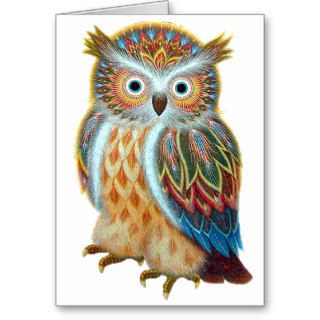 Owl Designs Greeting Card