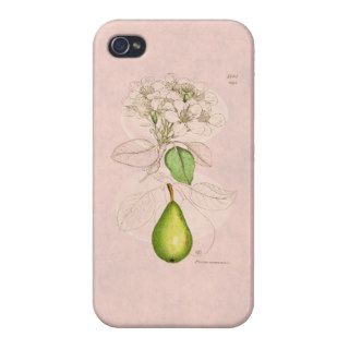 Vintage 1800s Pear Blossom Flower Collage Template iPhone 4/4S Case