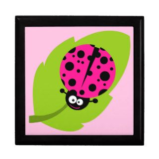 Hot Pink Ladybug Gift Box