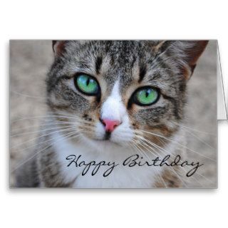 Tabby Cat Happy Birthday Card