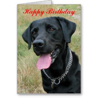 Labrador Retriever dog happy birthday card