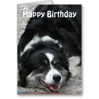 Border Collie   Happy Birthday Greeting Cards