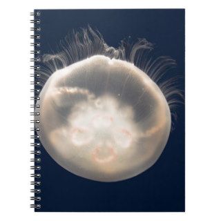 Moon Jelly Fish Beach Animal Scary Party Destiny Notebooks