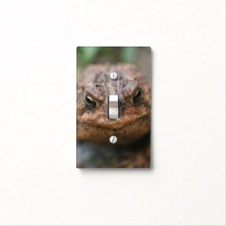 Cute Toad Frog Face Light Switch Plates