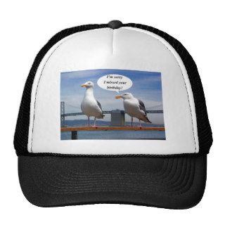 seagulls talking hats