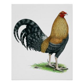 Game Cock  Dom or Crele Poster