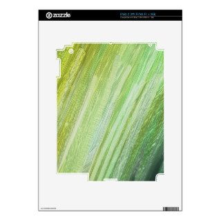 another rainbow, green iPad 2 skins
