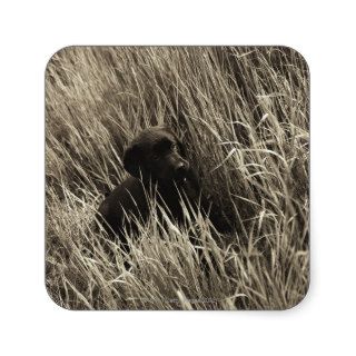A black puppy in a meadow. square sticker